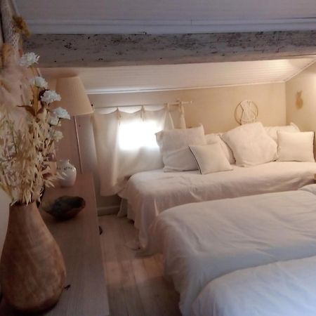 La Maison Perchee Aigues-Mortes Cameră foto